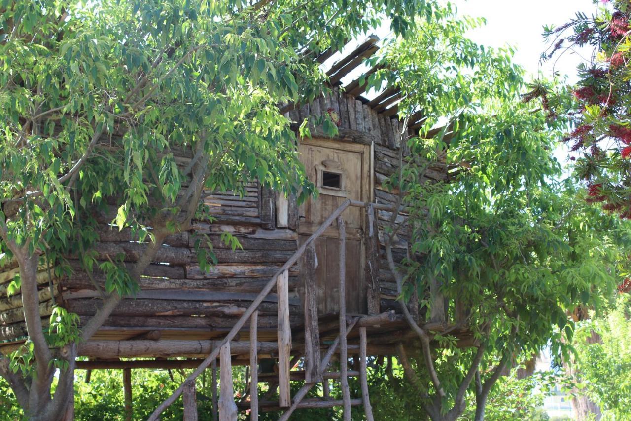 Agriturismo Ruralia サンタ・ドメーニカ エクステリア 写真