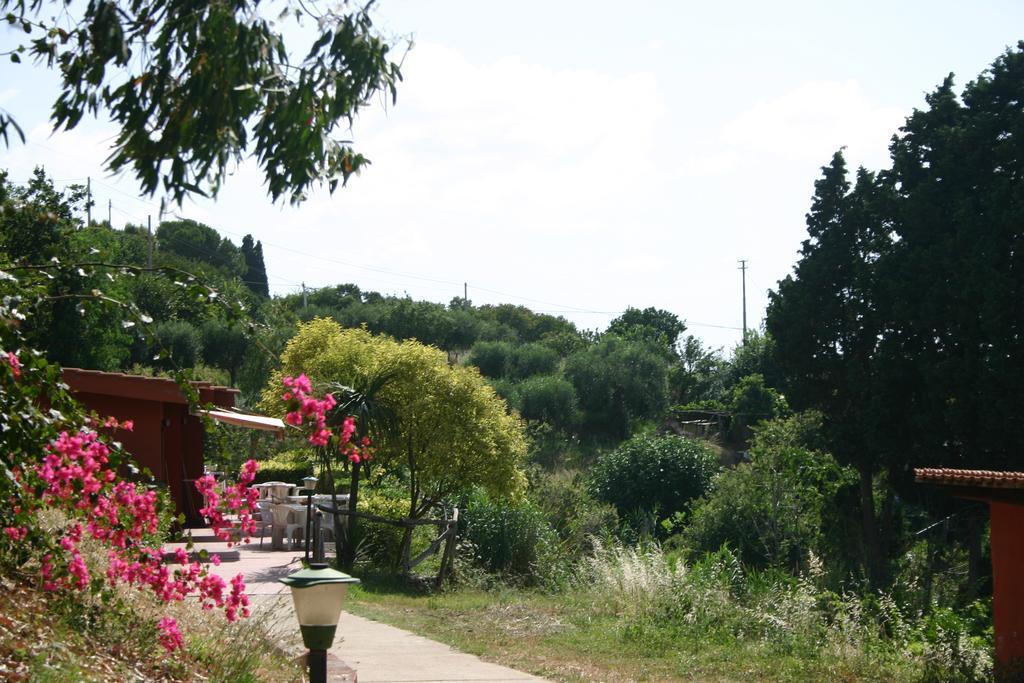 Agriturismo Ruralia サンタ・ドメーニカ エクステリア 写真