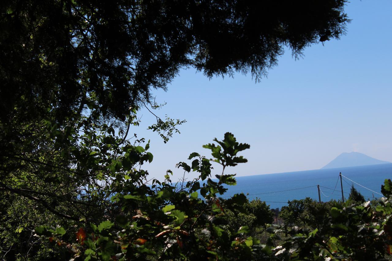 Agriturismo Ruralia サンタ・ドメーニカ エクステリア 写真