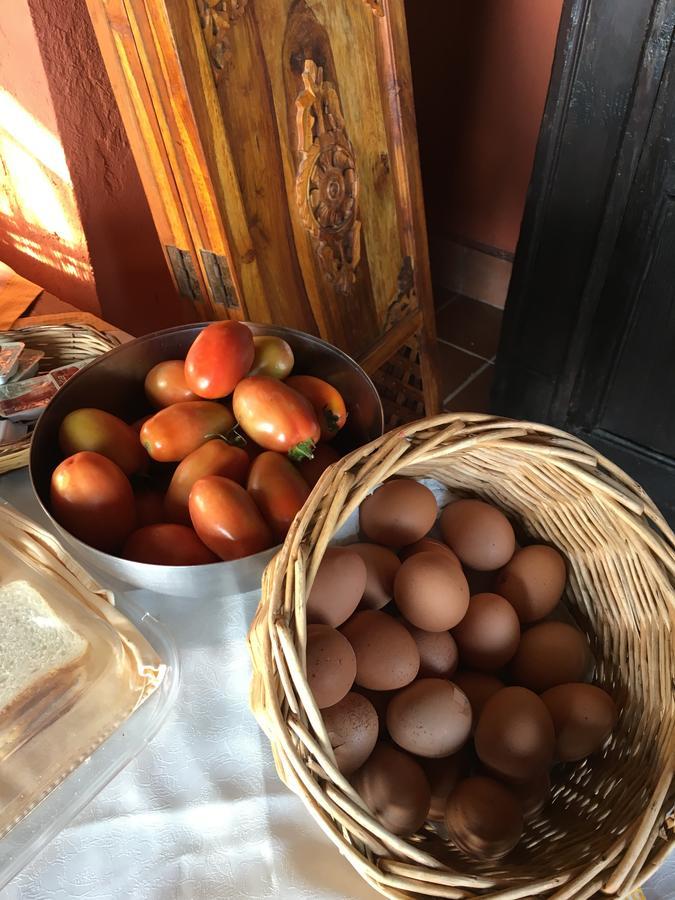 Agriturismo Ruralia サンタ・ドメーニカ エクステリア 写真